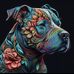 Aaron Rachel - Facebook