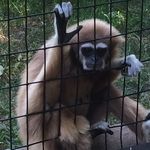 Aaron Ratte - @aaron_ratte - Instagram