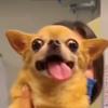aaronrawlings975 - @aaronrawlings975 - TikTok