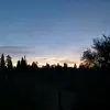 Aaron - @aaronraya1 - TikTok
