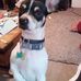 aaronrayburn - Facebook