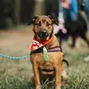 erin.nichola - @aaron.rayford.16412 - TikTok