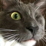 Aaron Raynor - @tarheelborn25 - Instagram