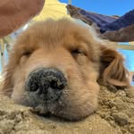 @aaron_real_love - Instagram