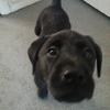 Aaron Reader - @aaron.reader6 - TikTok
