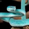 aaronreamy226 - @aaronreamy226 - TikTok