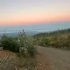 aaron_racine - @aaron_racine - TikTok