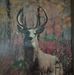 Aaron Redden - Facebook
