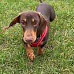Aaron - @aaronreddingtonhall - Instagram