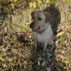 Aaron Relitz - @aaron.relitz - TikTok