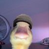 Aaron Reyes - @aaronreyesofficial - TikTok