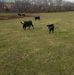 Aaron Reeder - Facebook