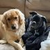 Aaron Reeder - Facebook