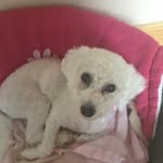 Aaronreel - @reel32592 - Instagram