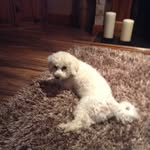 Aaronreel - @aaronreel8859 - Instagram