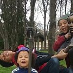 Aaron Jae Reese - @aaronreese37 - Instagram