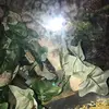aaronreese971 - @aaronreese971 - TikTok
