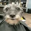 AaronRehmanBFD - @aaronrehmanbfd - TikTok
