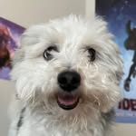 aaron rehncy - @aaron_rehncy - Instagram