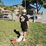 Aaron Reich - @aa_reich - Instagram