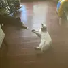 Aaron Eichelberger (Berger) - @aaron.eichelberge - TikTok