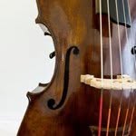 Aaron Reiley - @thebassdoctor - Instagram