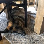 Aaron Reinbold - @a_a_rondunmessedup - Instagram