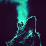 aaron - @aaronstoxreiter12 - Instagram