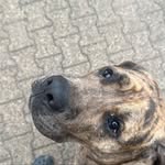 Aaron Neureiter - @aaron.neureiter - Instagram