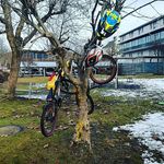 Aaron Stoxreiter - @aaronstoxreiter - Instagram