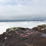 @aaronrenaud - Instagram