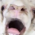 Aaron Renninger - @aaron_renninger - Instagram