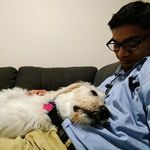 Aaron Reuben - @aaron.reuben - Instagram