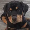 aaronrode - @aaronrode - TikTok