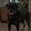 aaronrhea59 - @aaronrhea59 - TikTok