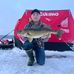 Aaron Walker - Facebook