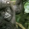 Aaron Ribeiro - @aaron.ribeiro2 - TikTok