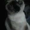 Aaron Ribeiro Meira - @ribeiro094 - TikTok