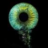 Aaron Richartz - @aaronrichartz - TikTok