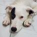 Aaron Richer - Facebook