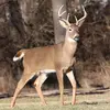 aaronricherdtexter - @aaronricherdtexter - TikTok