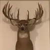 Aaron Richter - @aaronrichter208 - TikTok