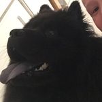 Aaron Rider - @aaron_the_night_rider - Instagram