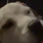 Aaron ridge - @dtinn98 - Instagram