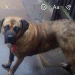 Aaron Ridgway - @_hxwlah_ - Instagram