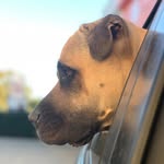 Aaron Ridley - @abridley - Instagram