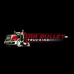 Aaron Ridley - @arbullettrucking - Instagram