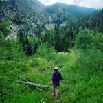 Aaron Riedel - @lil.e.with.an.a - Instagram