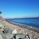 Aaron Riedel - @riedelaaron - Instagram