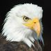 Aaron Rieker - Facebook